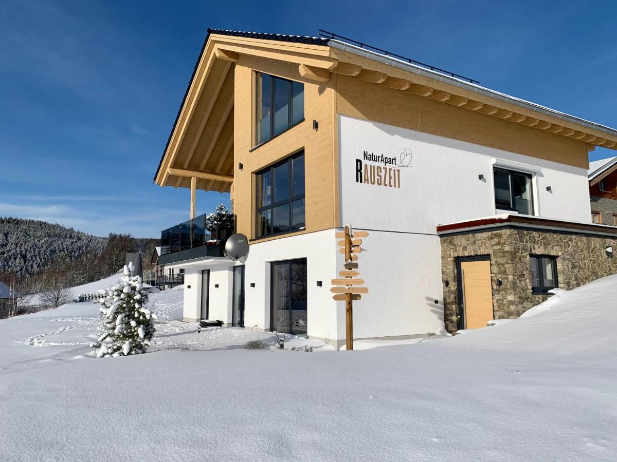 Apartment Naturapart Rauszeit Willingen (Upland)
