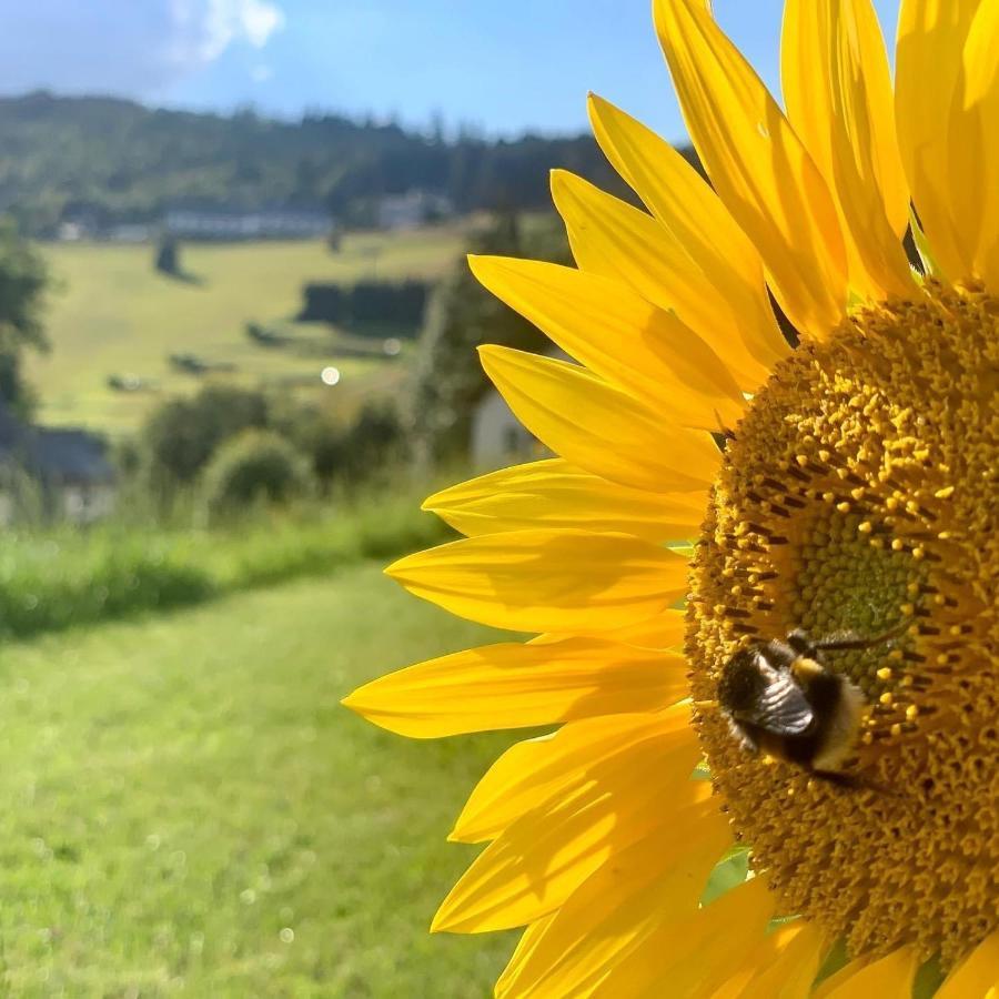 Naturapart Rauszeit Willingen (Upland)